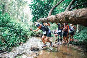 BIB: 
                            <button type="button" onclick="openModal(25373631)" class="btn btn-primary btn-sm float-right btn-popup" data-toggle="modal" data-target=".modal-high-quality">
                        <i class="fas fa-shopping-cart"></i> Add to Cart
                    </button>
                                            <button type="button" onclick="isThisMe(25373631, true)" class="btn btn-success btn-sm float-right btn-popup btn-isme hidden" data-toggle="tooltip" data-placement="bottom" title="นี่คือรูปของคุณใช่ไหม คลิกที่นี่เพื่อเอาเข้าอัลบั้ม">
                        <i class="fas fa-plus"></i> Add to album
                    </button>
                    <button type="button" onclick="isThisMe(25373631, false)" class="btn btn-warning btn-sm float-right btn-popup btn-isnotme hidden">
                        <i class="fas fa-ban"></i> Remove from album
                    </button>